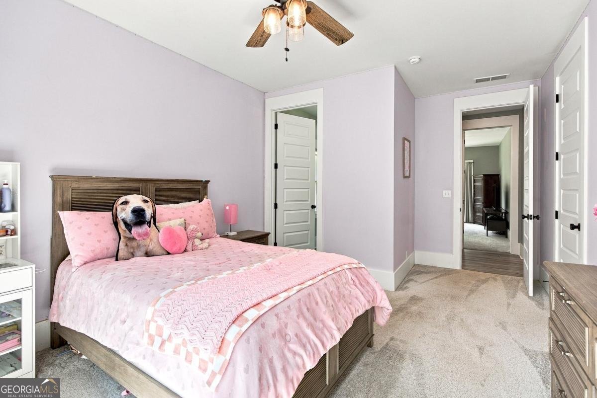 221 Brookhollow Road Ball Ground - Photo 52