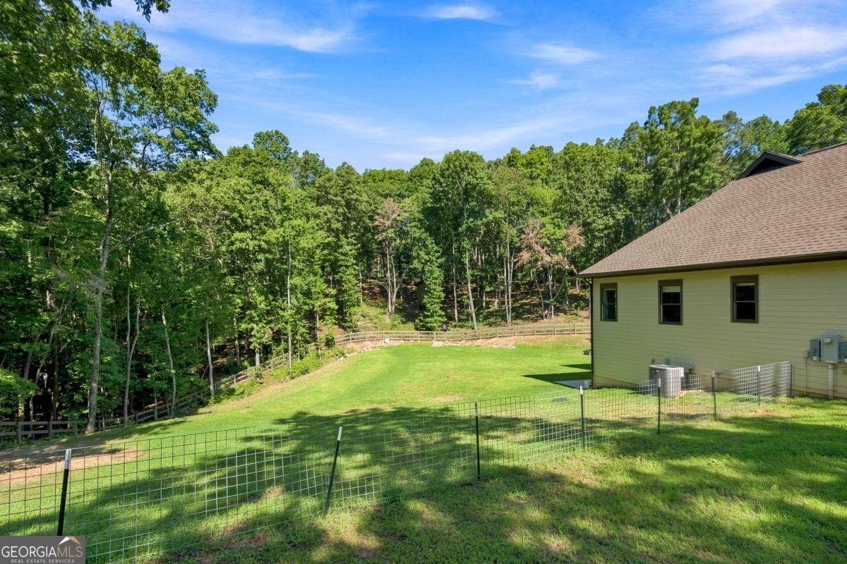 221 Brookhollow Road Ball Ground - Photo 91