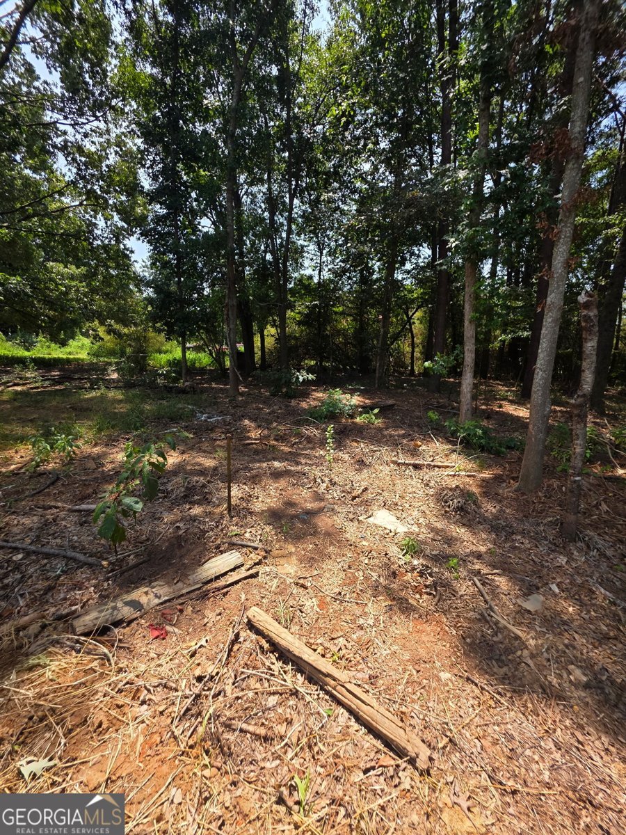 5133 C M Copelan Road Watkinsville - Photo 19