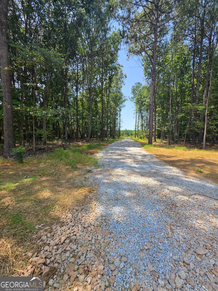 5133 C M Copelan Road Watkinsville - Photo 20