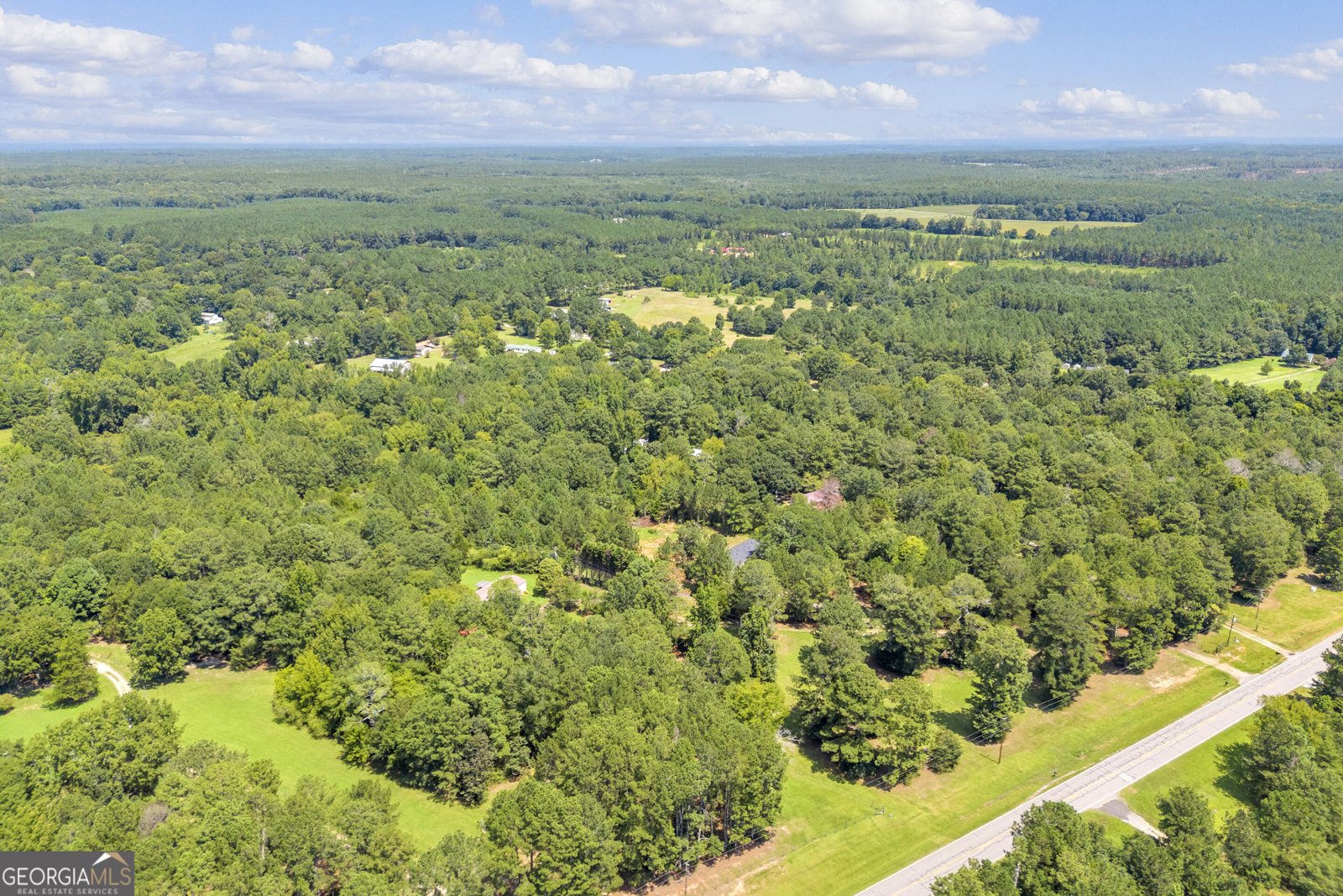1625 Elberton Road Lexington - Photo 39