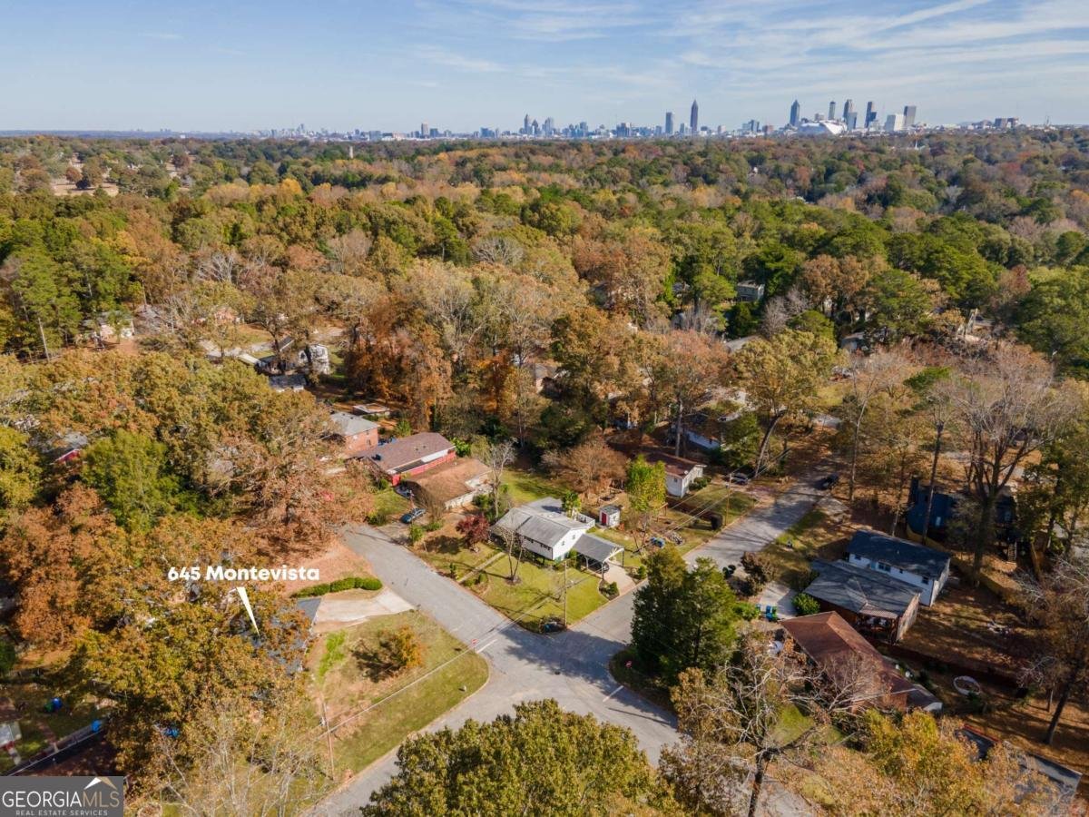 645 Montevista Street Atlanta - Photo 52