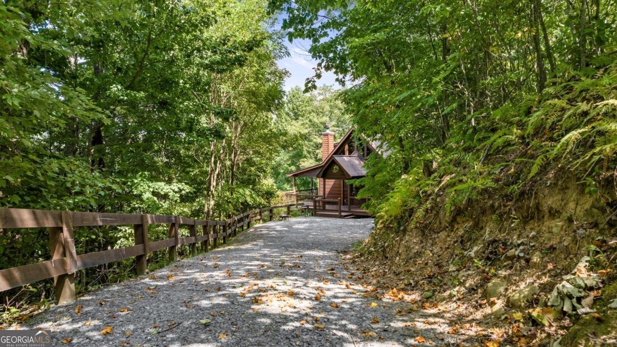 469 Mountain High Drive Mineral Bluff - Photo 41