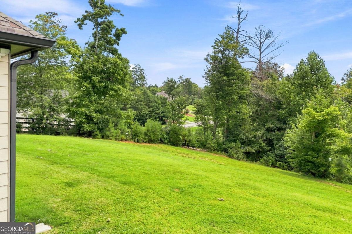 941 Whistler Lane Canton - Photo 39