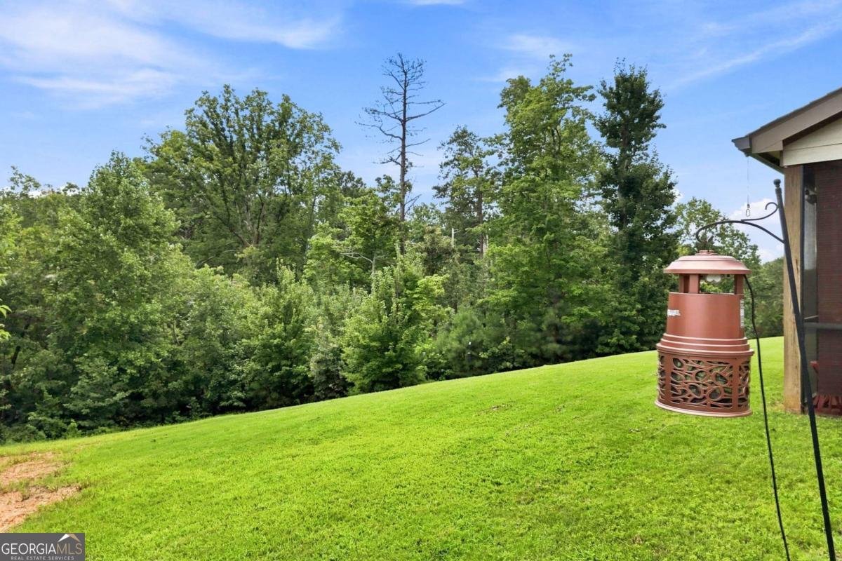 941 Whistler Lane Canton - Photo 40