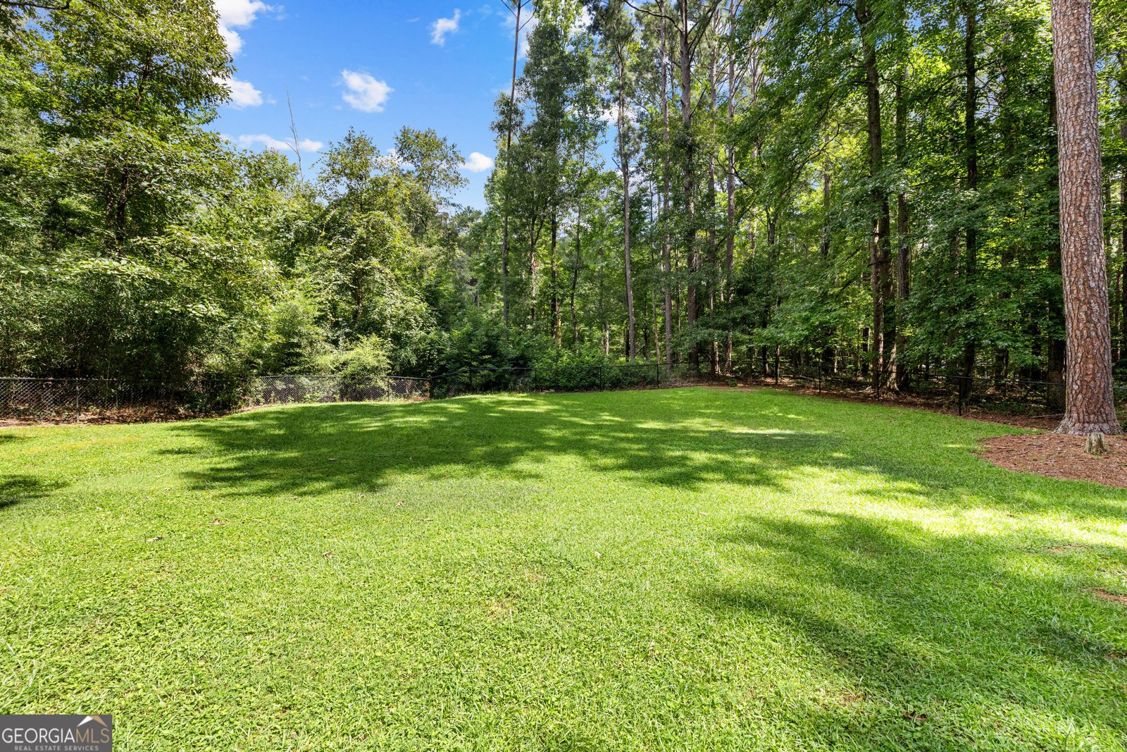 165 Woodsong Drive Fayetteville - Photo 43