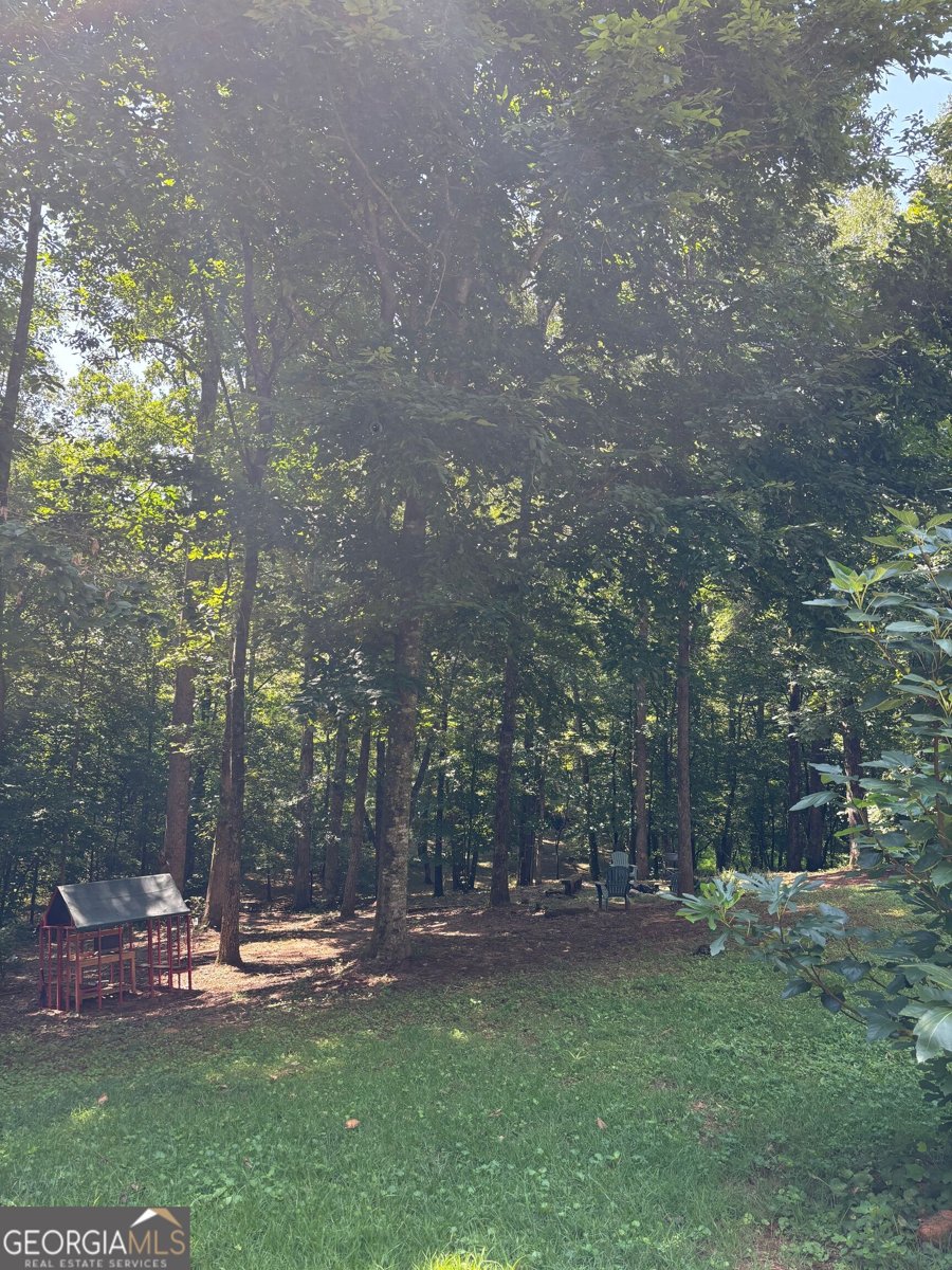 399 Grindstone Creek Drive Clarkesville - Photo 26
