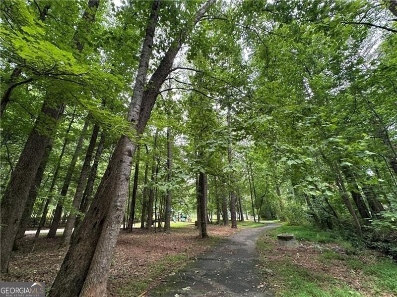 3600 Goldenrod Drive Alpharetta - Photo 93