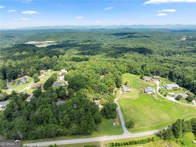 31 Wind Drive Dahlonega - Photo 46