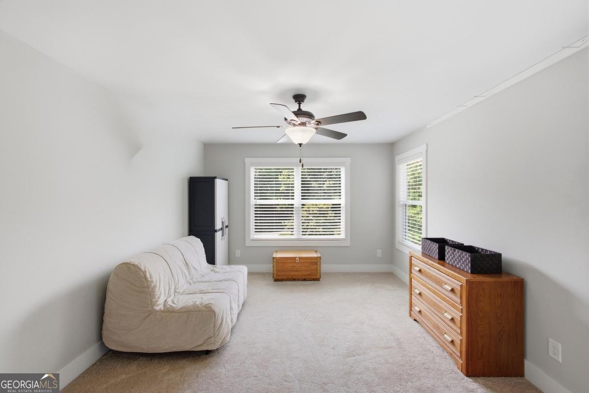 579 New Cut Road Braselton - Photo 63