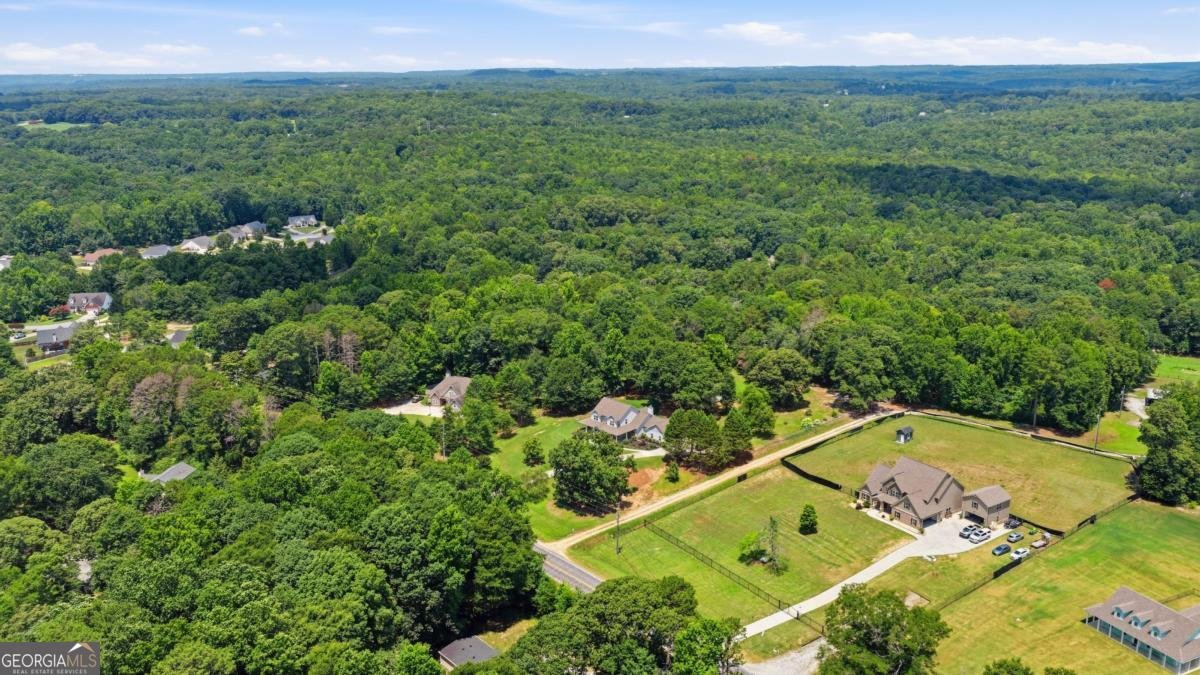579 New Cut Road Braselton - Photo 79