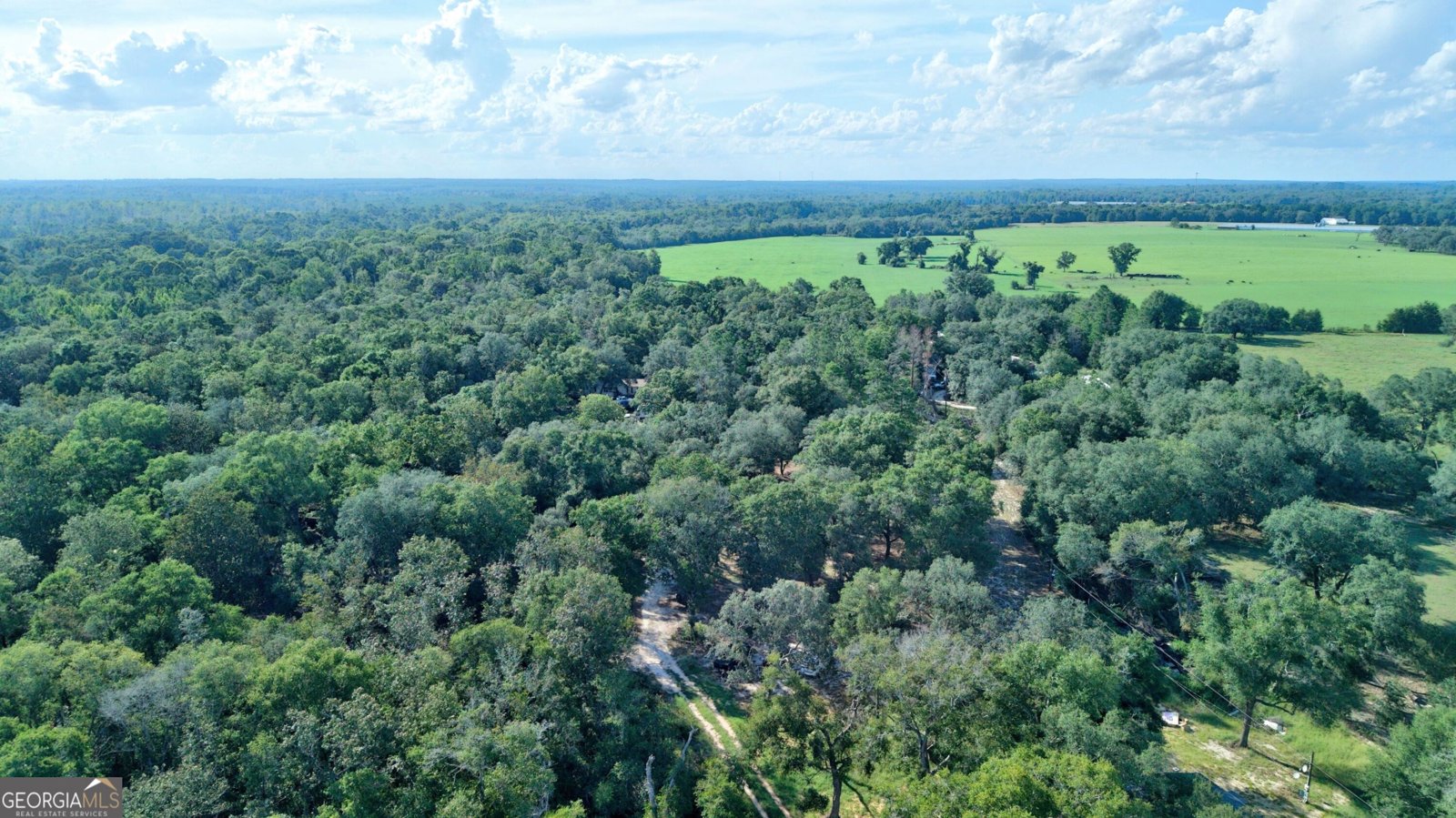 197 Blossom Lane Reidsville - Photo 32