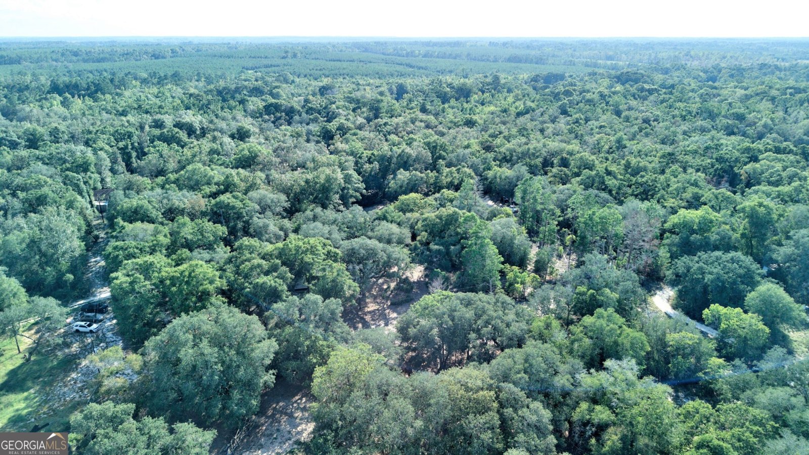 197 Blossom Lane Reidsville - Photo 33
