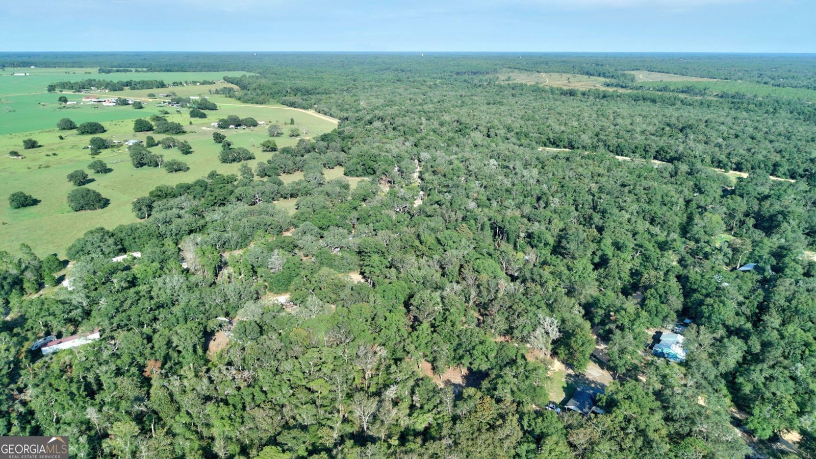 197 Blossom Lane Reidsville - Photo 35