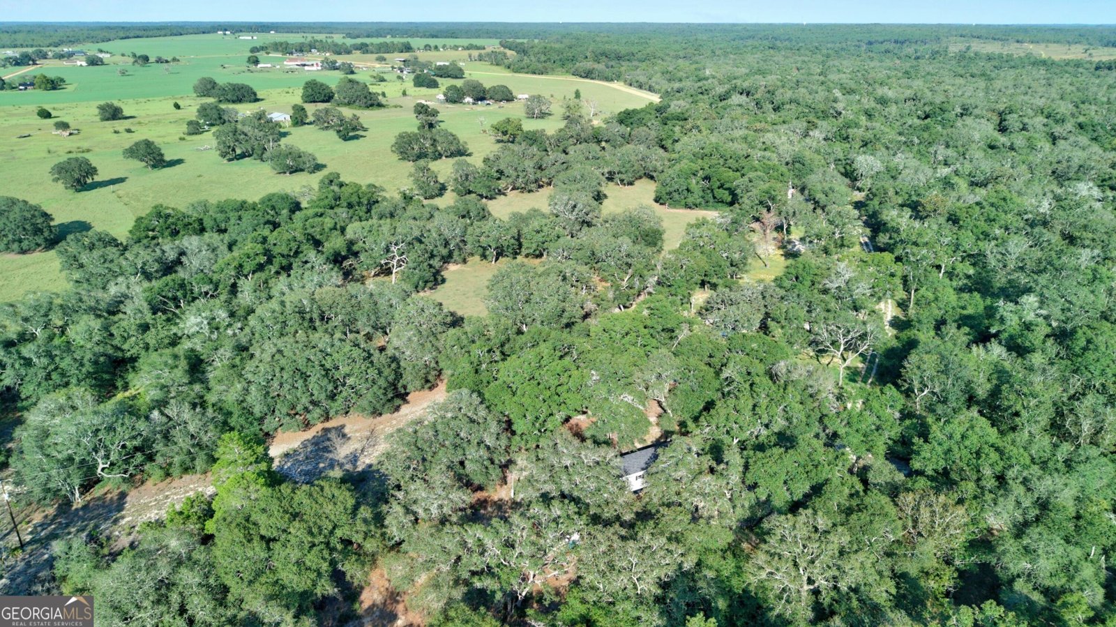 197 Blossom Lane Reidsville - Photo 36