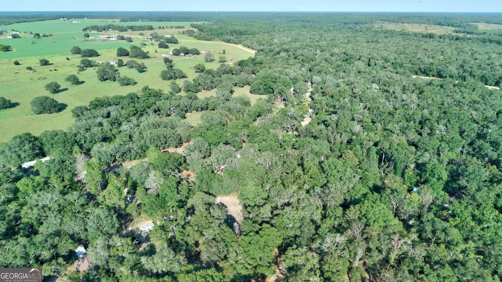 197 Blossom Lane Reidsville - Photo 37