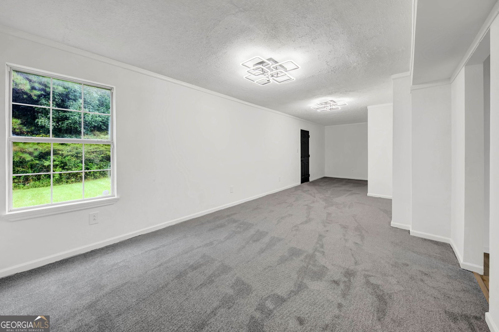 7153 New Dale Road Rex - Photo 12