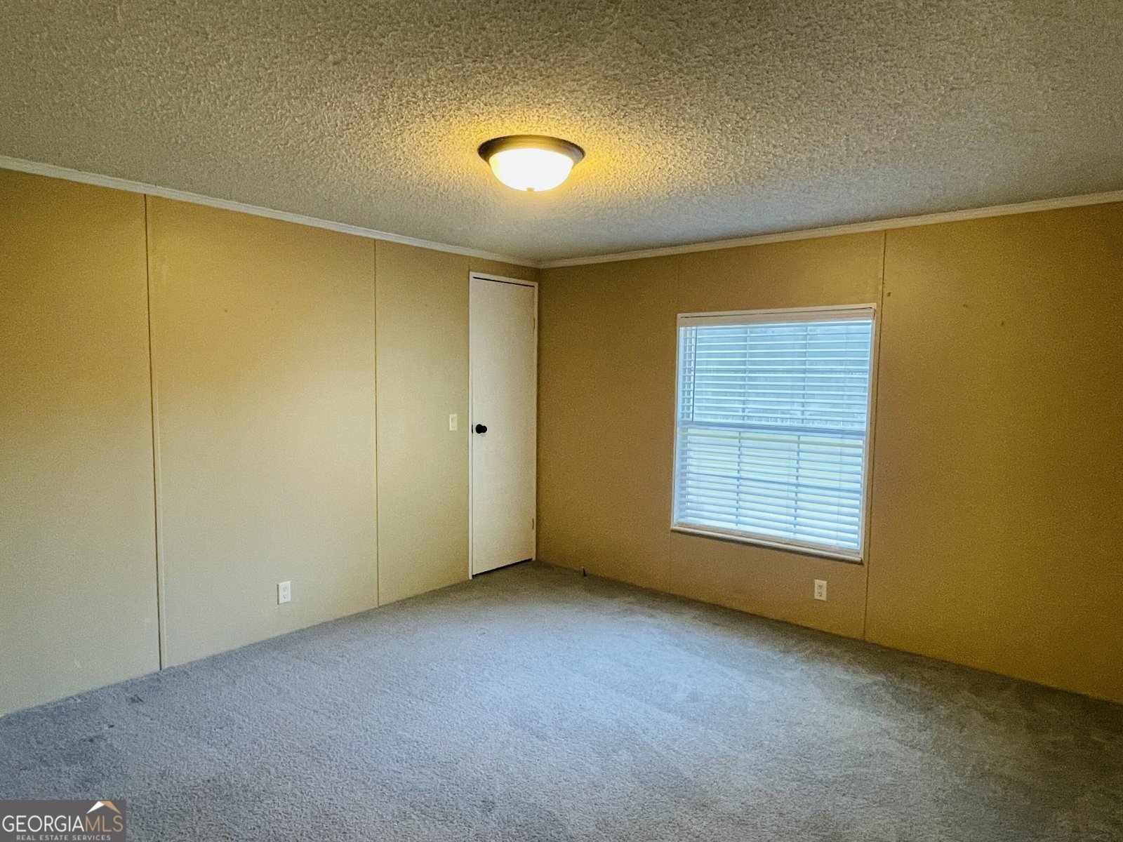 685 Holmes Theus Road Ludowici - Photo 10
