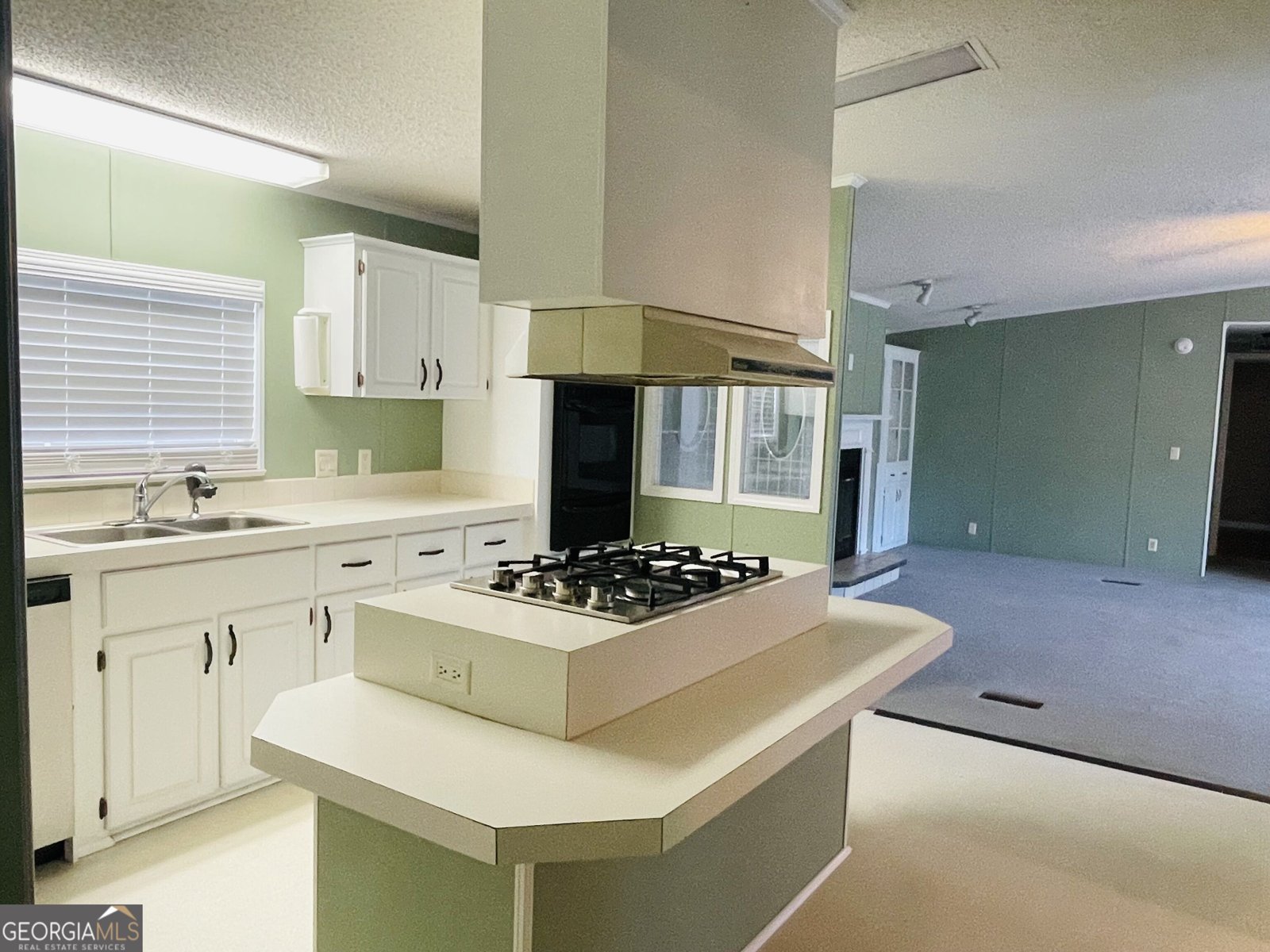 685 Holmes Theus Road Ludowici - Photo 6