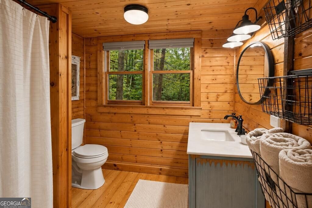 681 Skyview Drive Ellijay - Photo 31