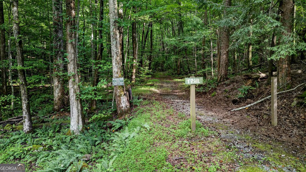681 Skyview Drive Ellijay - Photo 36