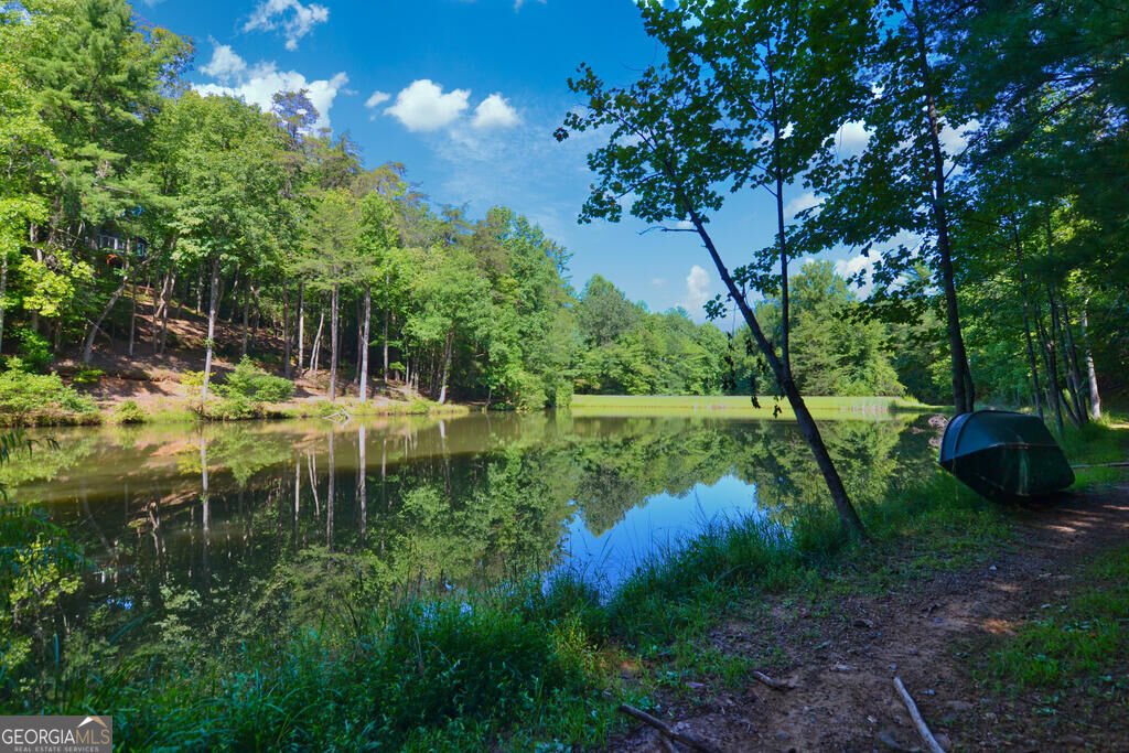 681 Skyview Drive Ellijay - Photo 40