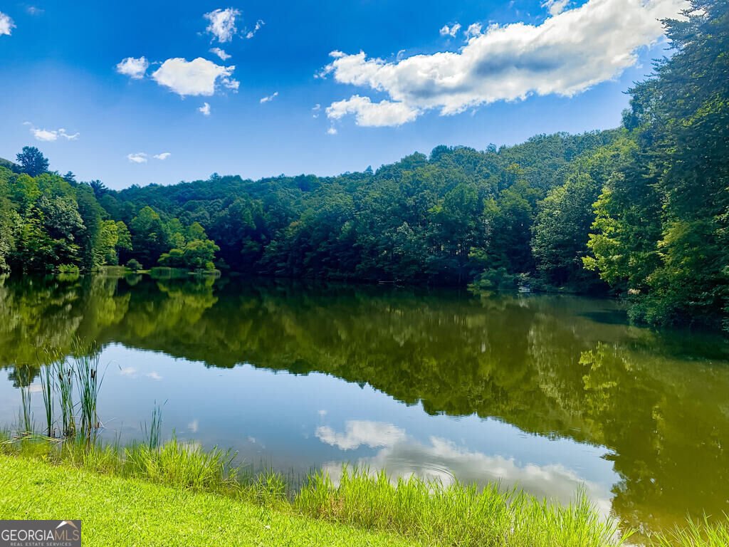 681 Skyview Drive Ellijay - Photo 41