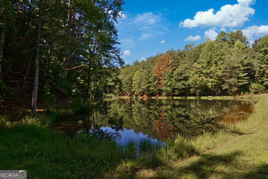 681 Skyview Drive Ellijay - Photo 42