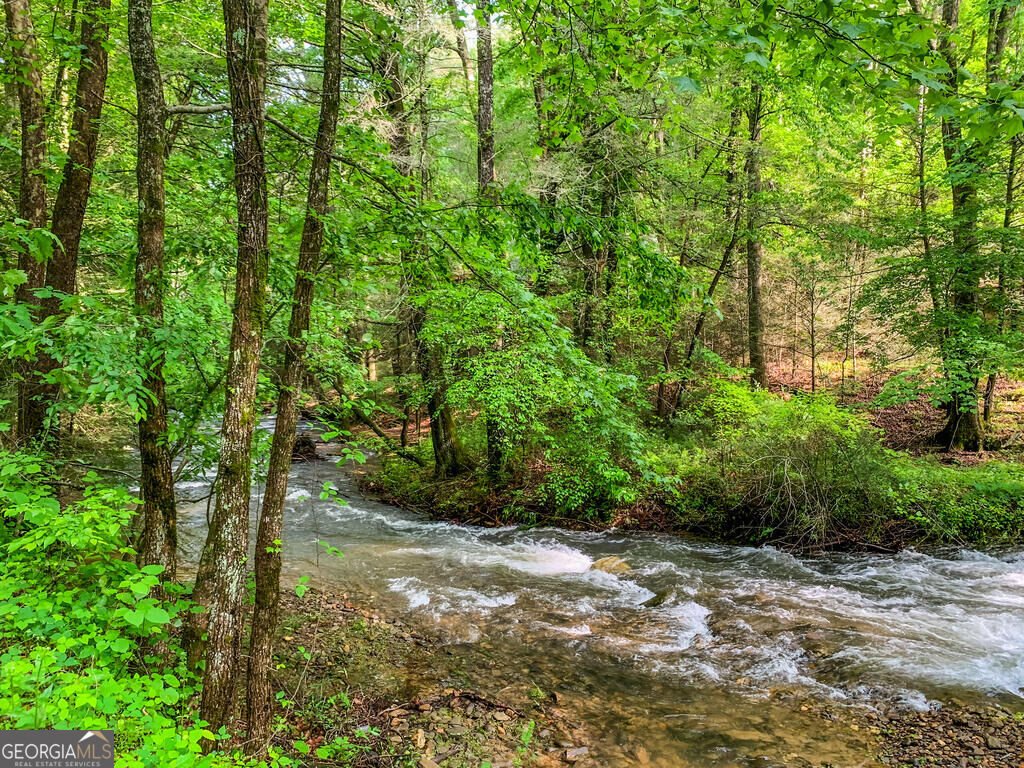 681 Skyview Drive Ellijay - Photo 45