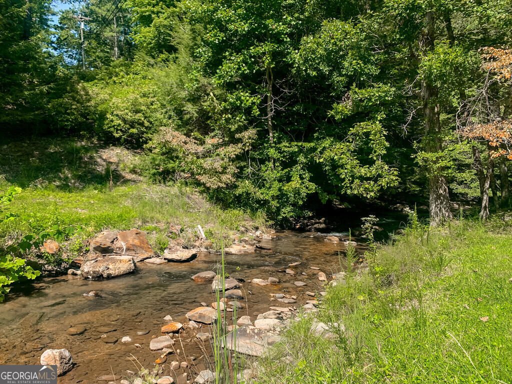 681 Skyview Drive Ellijay - Photo 46