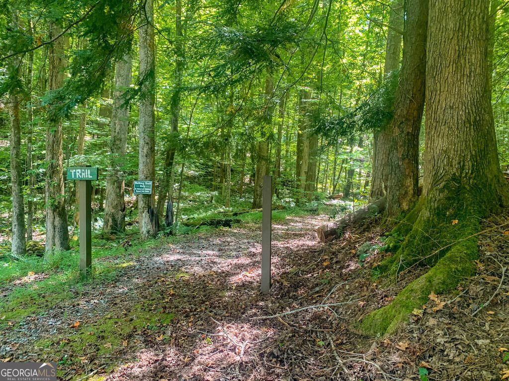 681 Skyview Drive Ellijay - Photo 48