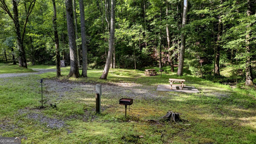 681 Skyview Drive Ellijay - Photo 49