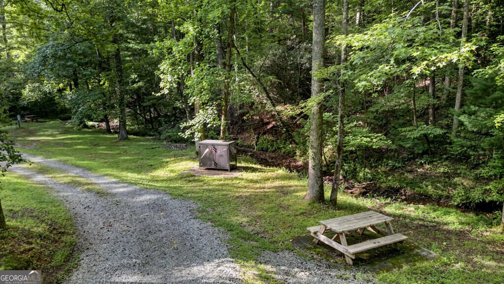 681 Skyview Drive Ellijay - Photo 50
