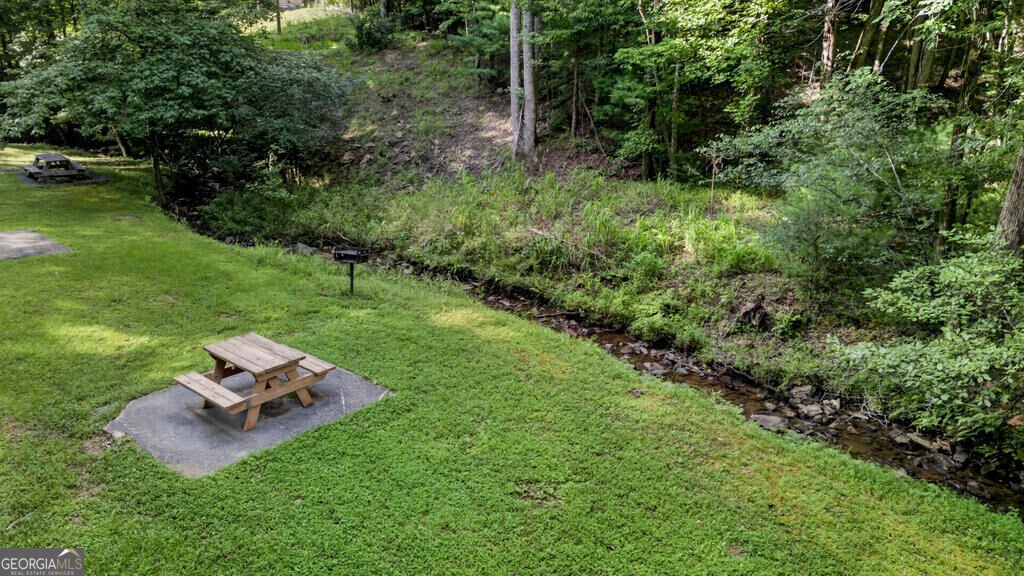 681 Skyview Drive Ellijay - Photo 51