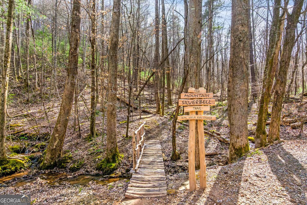 681 Skyview Drive Ellijay - Photo 55