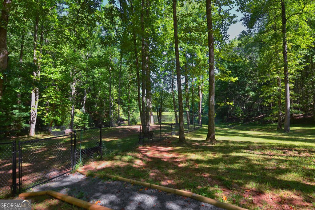 681 Skyview Drive Ellijay - Photo 58