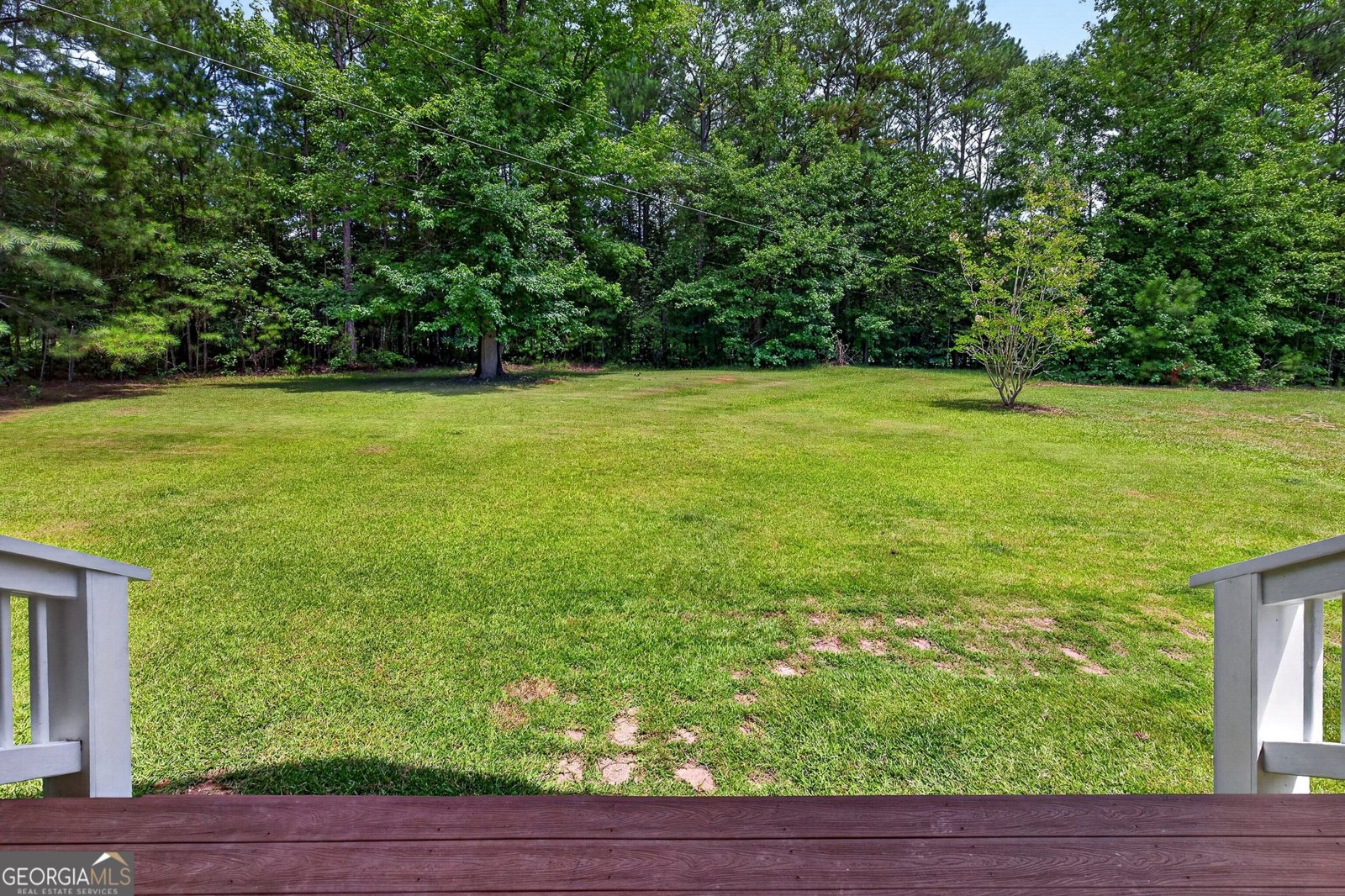 223 Strickland Drive Luthersville - Photo 18
