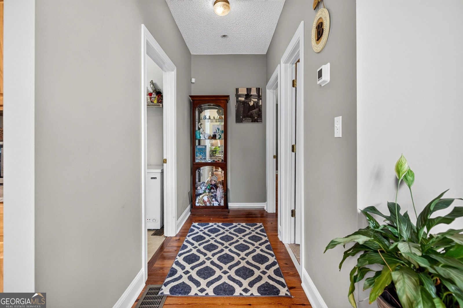 223 Strickland Drive Luthersville - Photo 27