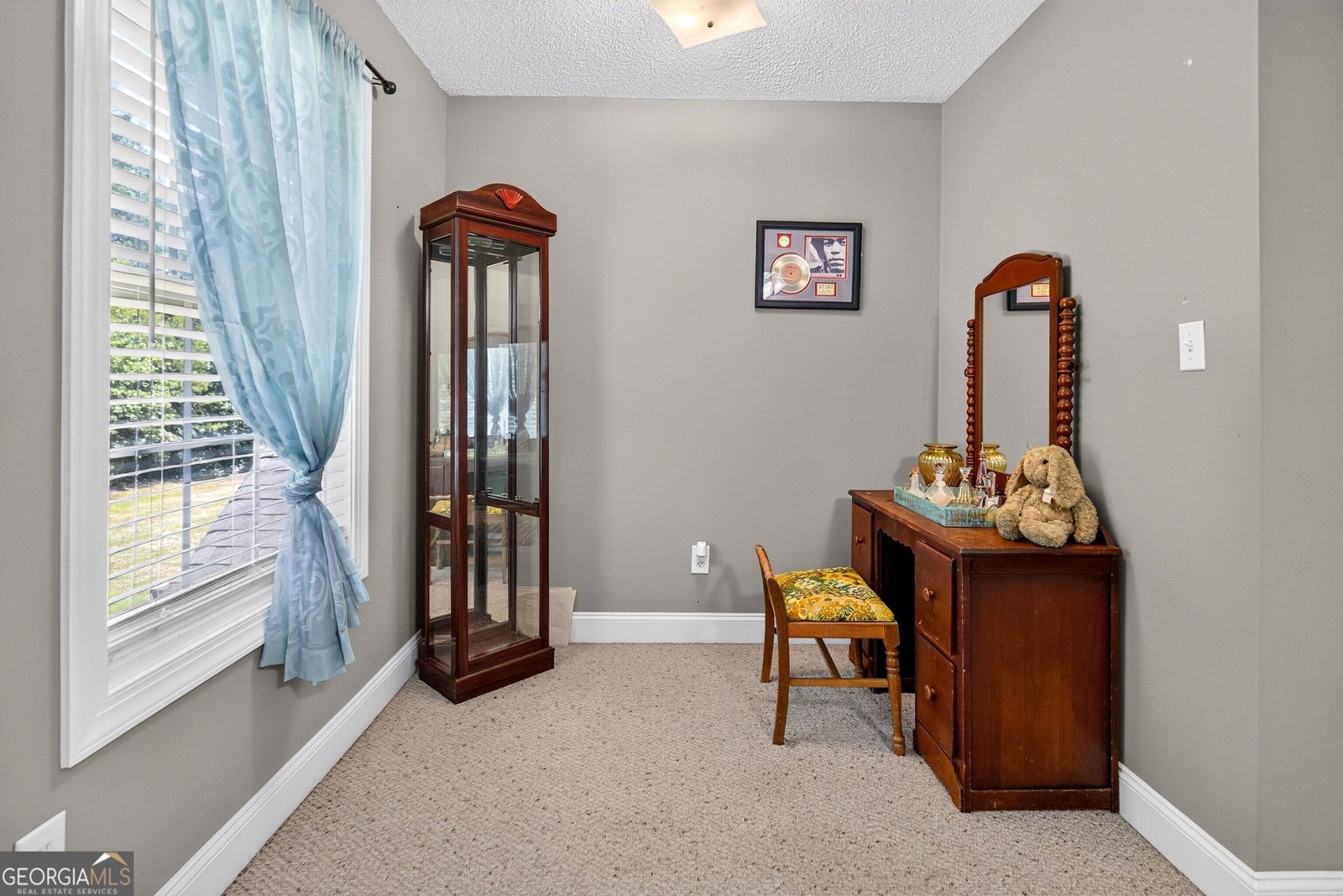 223 Strickland Drive Luthersville - Photo 43