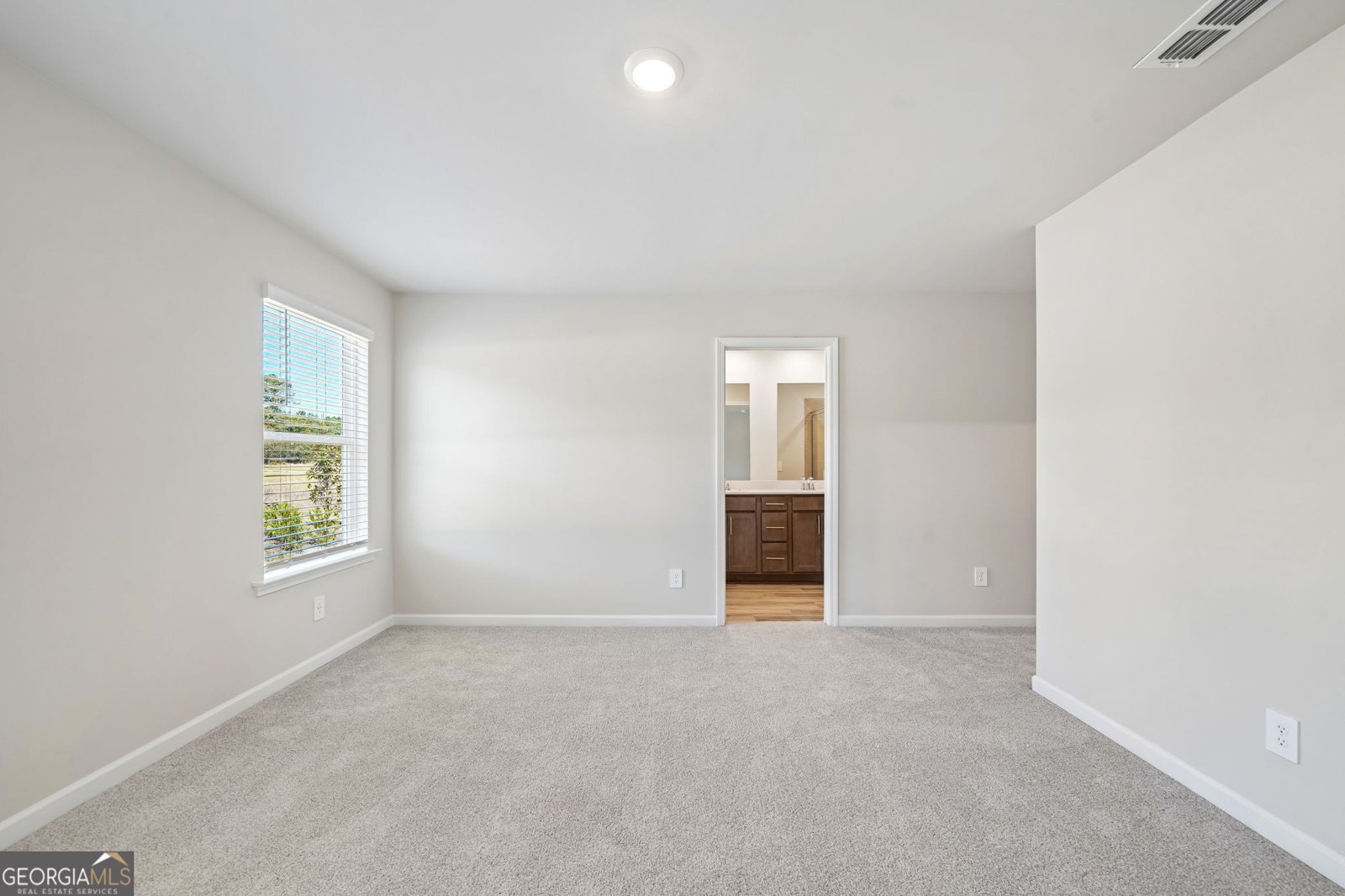 3386 Brooks Lake Drive Loganville - Photo 20