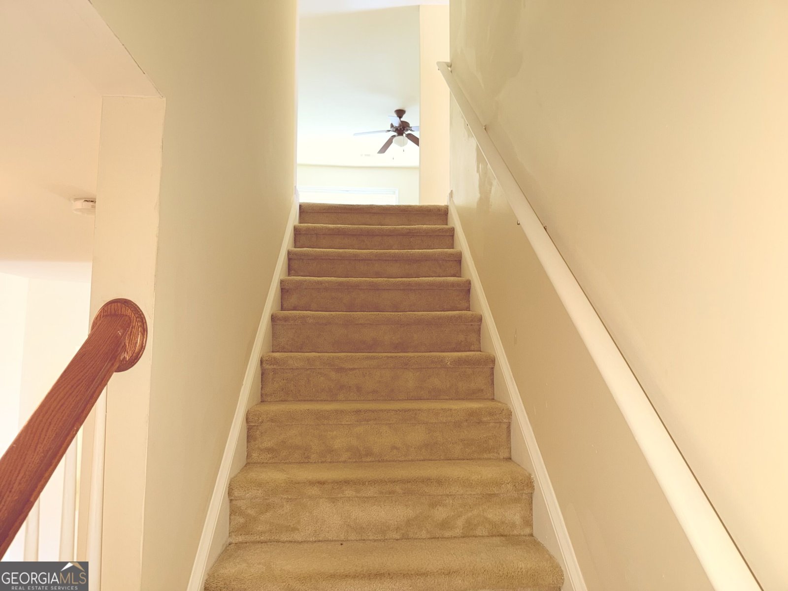4402 Sonoran Way Union City - Photo 21