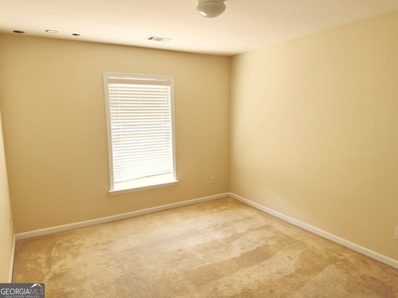 4402 Sonoran Way Union City - Photo 36