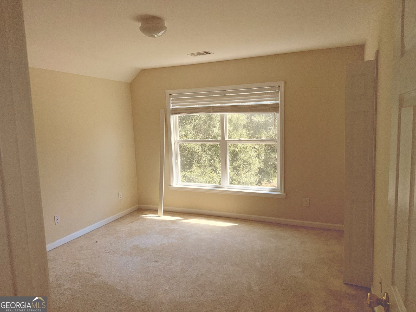 4402 Sonoran Way Union City - Photo 39