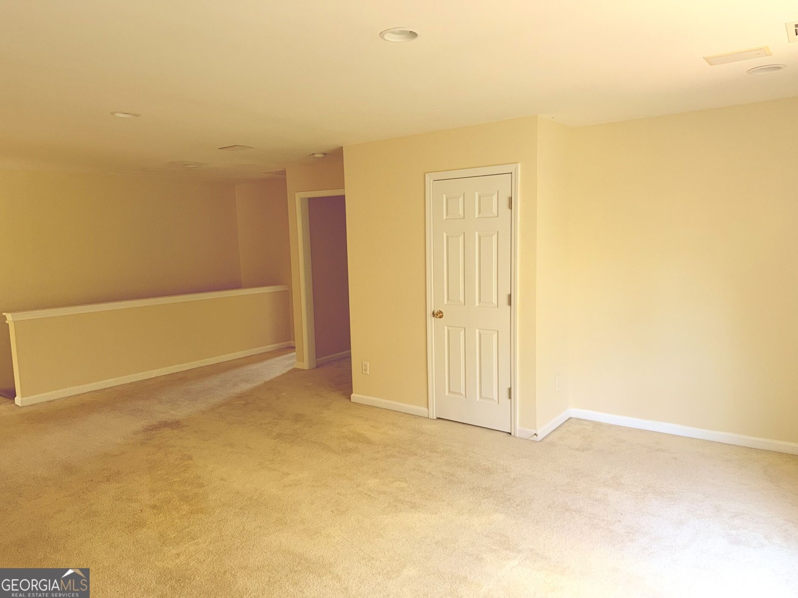 4402 Sonoran Way Union City - Photo 43