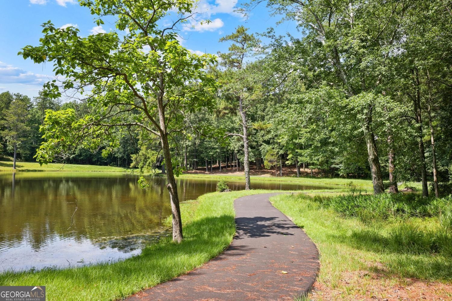 8615 Nolandwood Lane Villa Rica - Photo 36