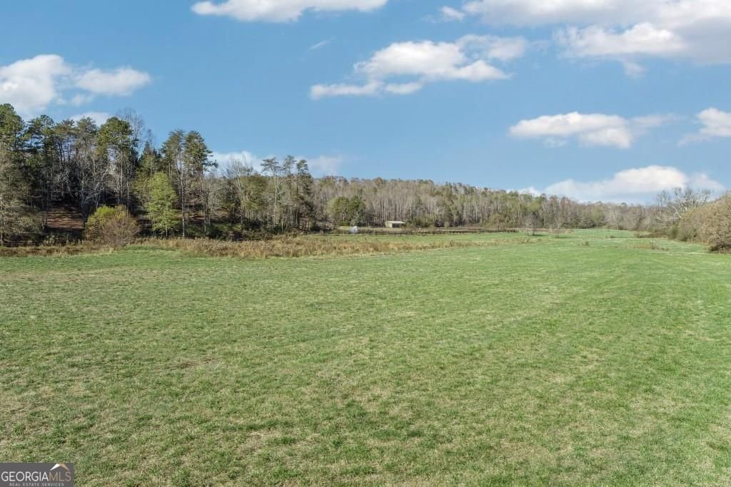 6303 Ben Parks Road Murrayville - Photo 106