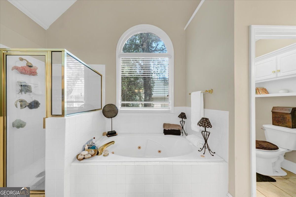 4572 Lionshead Circle Lithonia - Photo 46