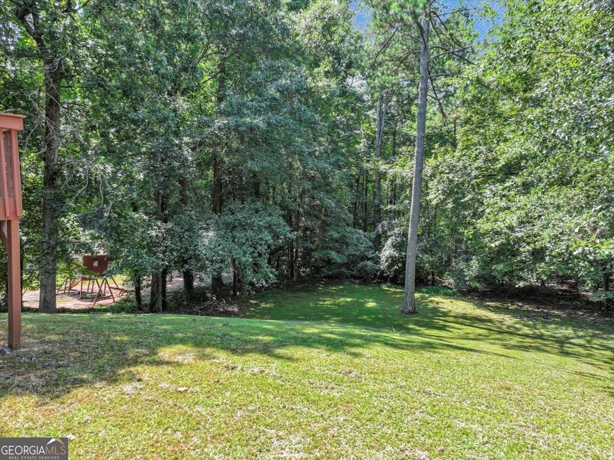 4572 Lionshead Circle Lithonia - Photo 80