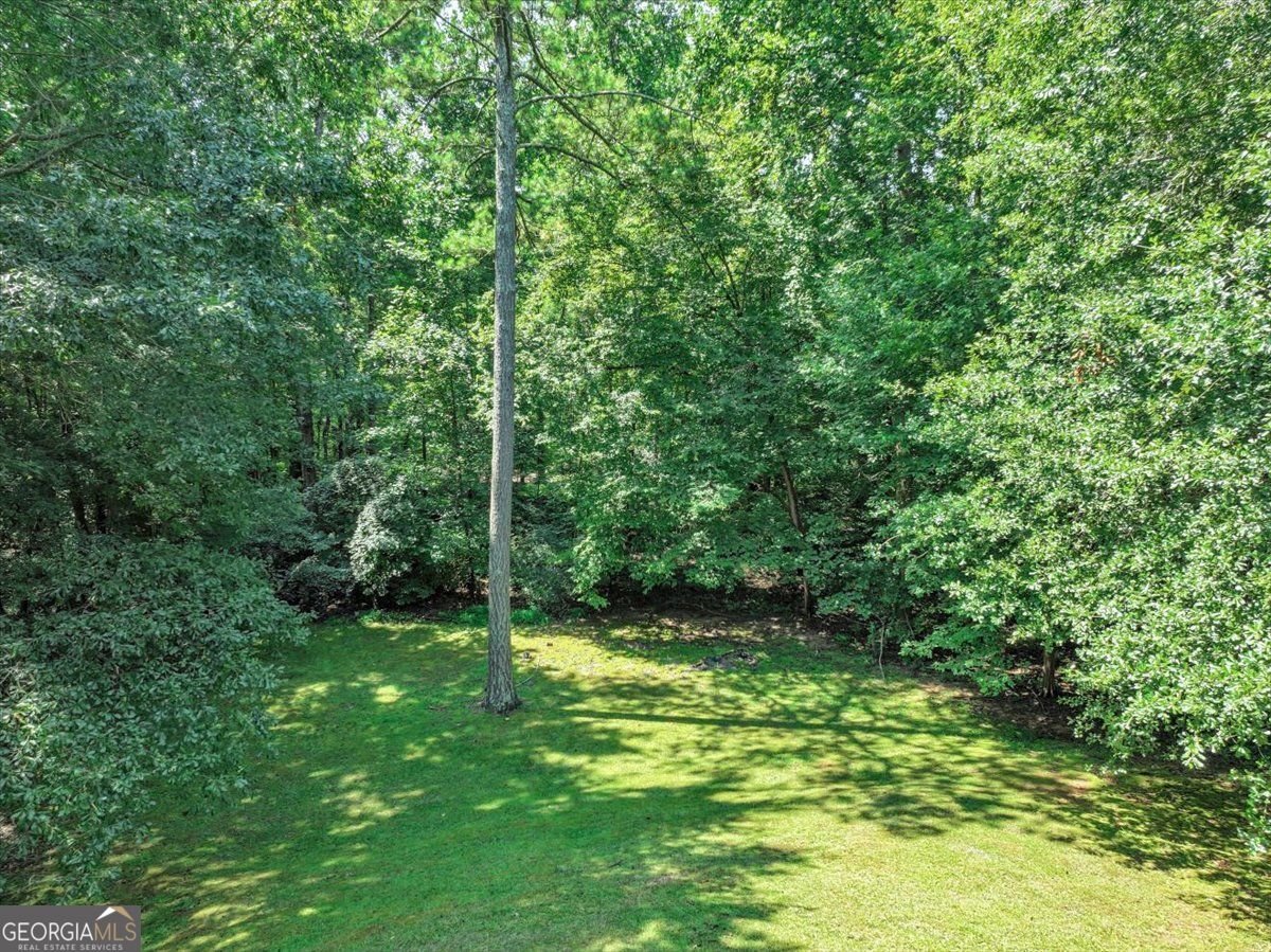 4572 Lionshead Circle Lithonia - Photo 81