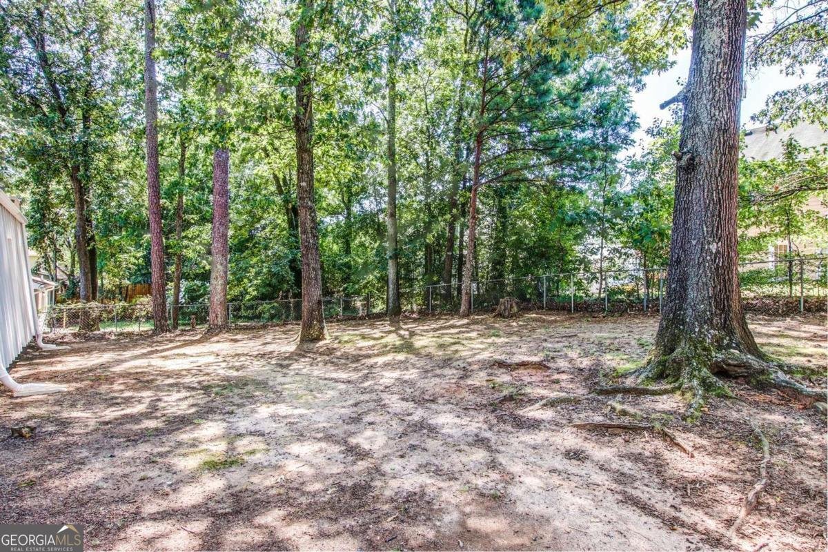 1764 Big Horn Court Conyers - Photo 21